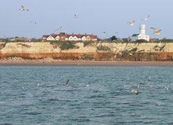 [Image: Bird watching off Hunstanton cliffs]